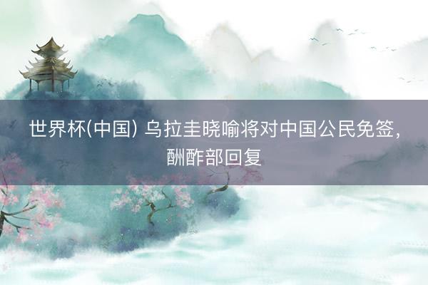 世界杯(中国) 乌拉圭晓喻将对中国公民免签，酬酢部回复