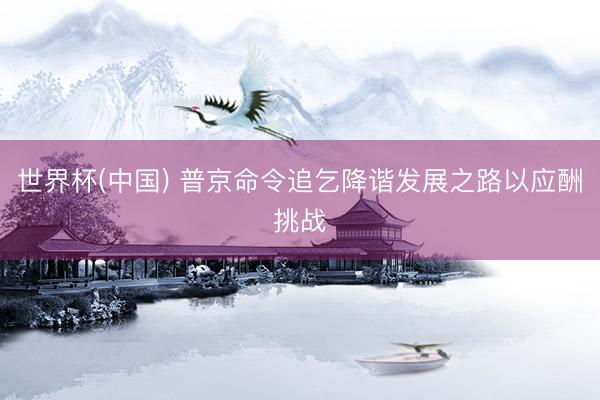 世界杯(中国) 普京命令追乞降谐发展之路以应酬挑战