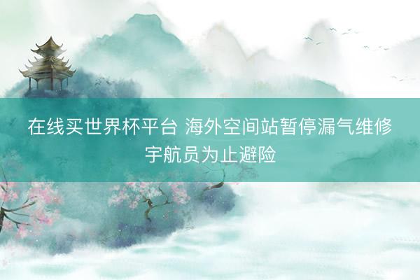 在线买世界杯平台 海外空间站暂停漏气维修　宇航员为止避险