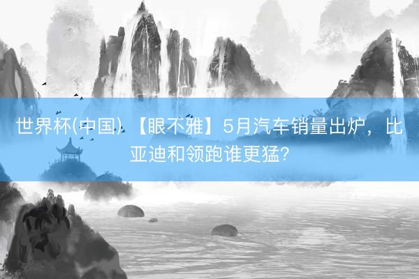 世界杯(中国) 【眼不雅】5月汽车销量出炉，比亚迪和领跑谁更猛？