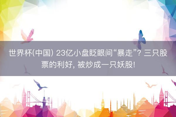 世界杯(中国) 23亿小盘眨眼间“暴走”? 三只股票的利好， 被炒成一只妖股!