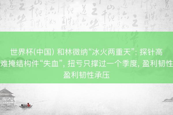 世界杯(中国) 和林微纳“冰火两重天”: 探针高毛利难掩结构件“失血”， 扭亏只撑过一个季度， 盈利韧性承压