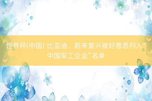 世界杯(中国) 比亚迪、蔚来复兴被好意思列入“中国军工企业”名单
