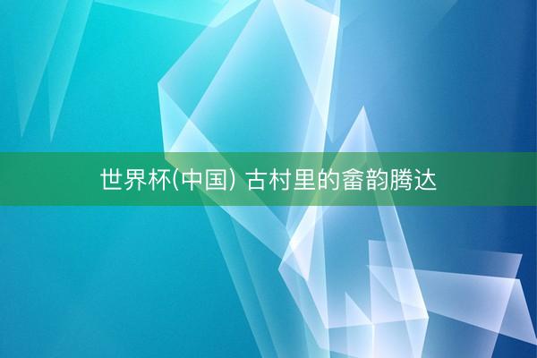 世界杯(中国) 古村里的畲韵腾达
