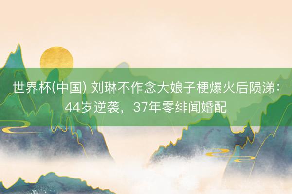 世界杯(中国) 刘琳不作念大娘子梗爆火后陨涕：44岁逆袭，37年零绯闻婚配