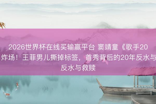 2026世界杯在线买输赢平台 窦靖童《歌手2026》炸场！王菲男儿撕掉标签，首秀背后的20年反水与救赎