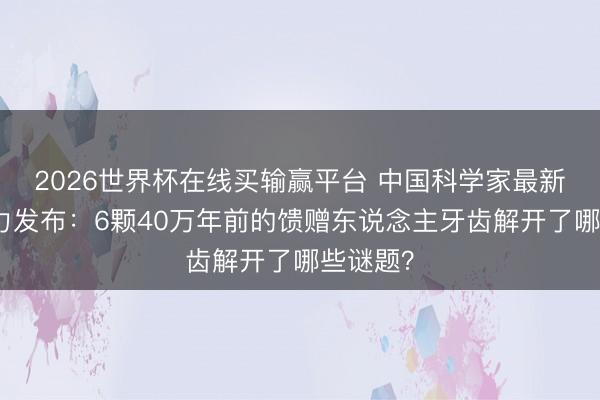 2026世界杯在线买输赢平台 中国科学家最新筹议着力发布：6颗40万年前的馈赠东说念主牙齿解开了哪些谜题？