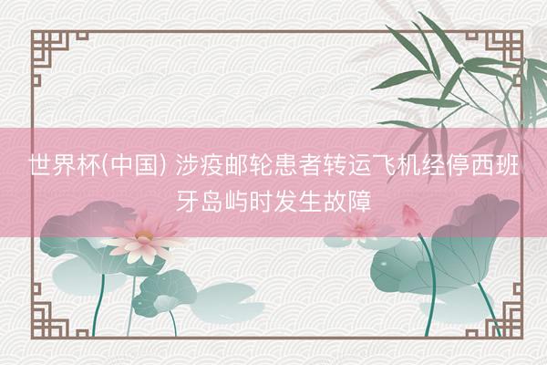 世界杯(中国) 涉疫邮轮患者转运飞机经停西班牙岛屿时发生故障