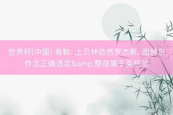 世界杯(中国) 希勒: 上贝林依然罗杰斯， 图赫尔作念正确选定&整宿属于英格兰